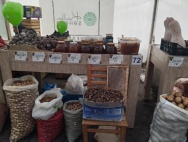 qedimi balta: Bal — 2