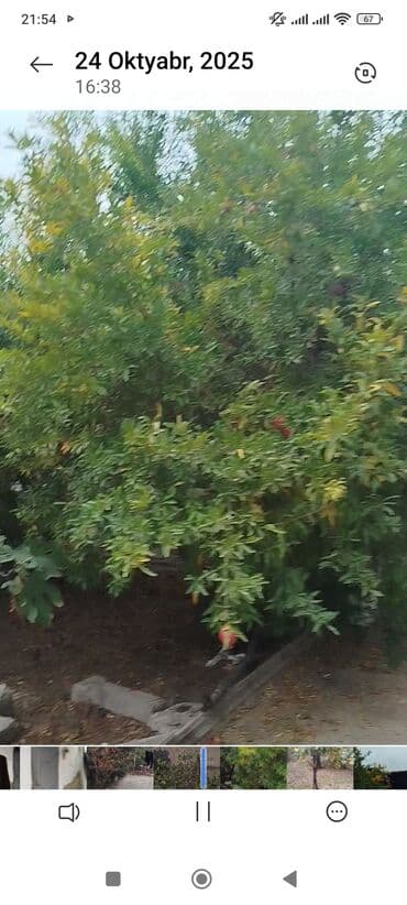 xacmazda evlər: 3 комнаты, 90 м² — 6