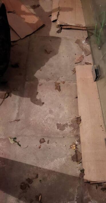 аренда мест в салоне красоты: Obyekt icarəyə verilir. ⚠️DIQQET: Obyekt yalniz "VÖEN"-i olana — 5