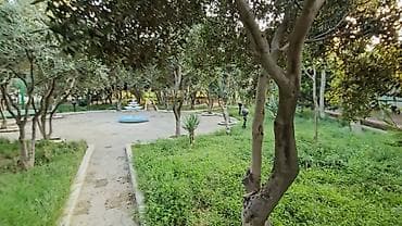 gence evler kiraye: Salyan şosse 14 km — 5