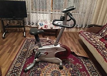 velo home: Velotrenajor veloxizek — 1