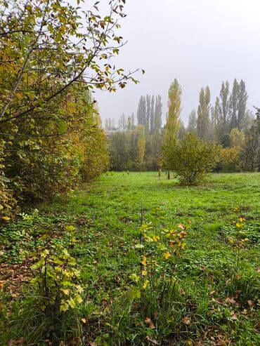 продается земельный участок: 28 sot, Maklerlər narahat etməsin, Kupça (Çıxarış) — 1