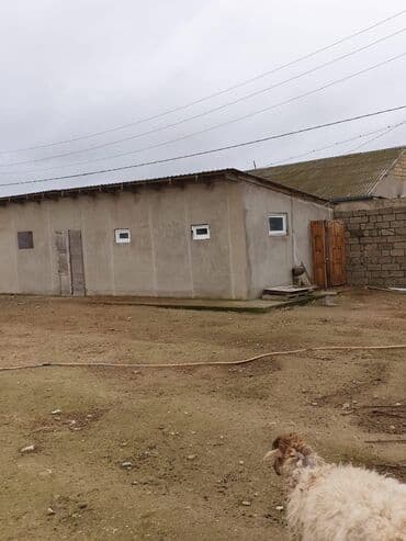 недвижимость в баку из рук в руки: 1 соток, Для сельского хозяйства, Риэлторам не беспокоить, Купчая — 7