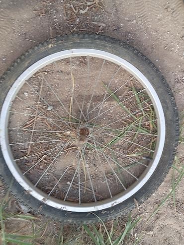 velosiped idman: Məhsul: Velosiped təkəri və şini (tam çarx komplekti) - Ölçü: Təxmini — 1