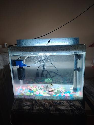 Akvariumlar: Akvaryum led isiq su qizdirici hava veren dekor 5 eded arginal — 1