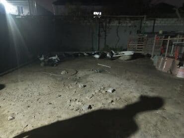 kayuqa ordek: Dişi, | Lal ördək, Ətlik — 2