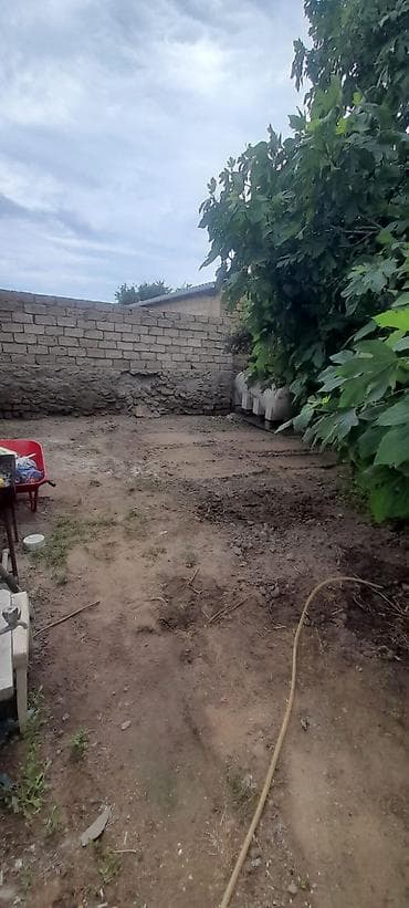 koroglu: Satılır: həyət sahəsi və köməkçi tikili - Üzüm çardağı ilə — 8