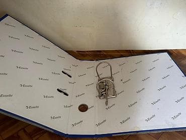 a4 kagiz topdan: Məhsul: Esselte qovluq/lever-arch fayl Xüsusiyyətlər: - Rəng: mavi — 3