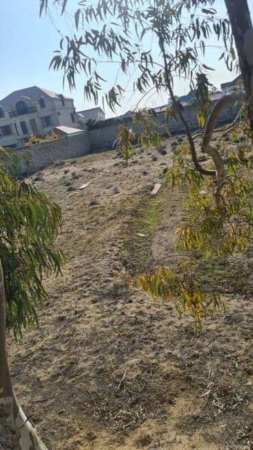 masazir yeni tikili: 60 sot, Tikinti, Makler, Kupça (Çıxarış) — 7