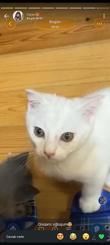 Yaxşı əllərə