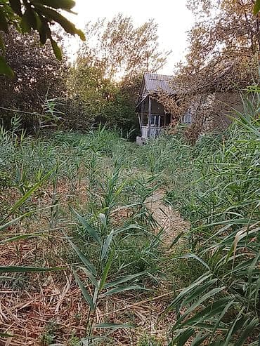 qax ilisu ev satilir: 8 sot, Maklerlər narahat etməsin, Kupça (Çıxarış) — 3