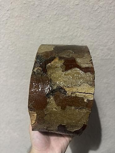 Təbii ağacdan dairəvi kəsik (taxta dilim) - Material: bərk ağac — 1