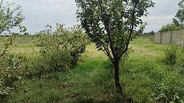ceyranbatan evlər: 2 otaqlı, 150 kv. m, Kredit yoxdur, Orta təmir — 3