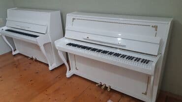 флейта музыкальный инструмент: Пианино, Акустический — 4