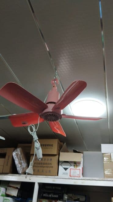 asma ventilyator: Вентилятор Новый, Потолочный, Лопастной, Нет кредита, Платная доставка, Самовывоз, Доставка в районы — 3