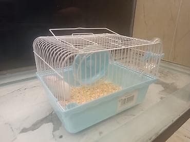 ana ari satisi: Xomyak + Gefes + teze opilka paçkasi = 10 manat . Хомяк + клетка + — 2