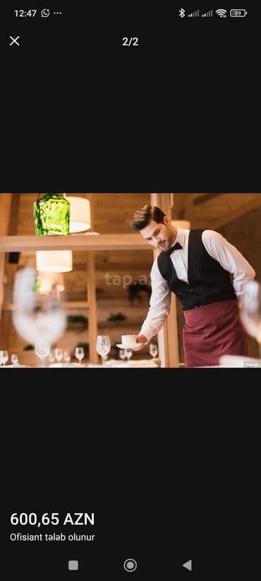 Ofisiant tələb olunur, Restoran, Aylıq ödəniş, İstənilən yaş, Təcrübəsiz