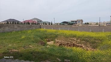 novxanida: Bakı, 350 kv. m, 5 otaqlı, Hovuzsuz, Qaz, İşıq, Su — 9