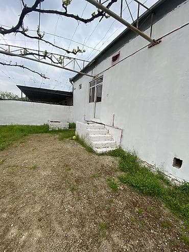 bine savxozda ucuz evler: Şirvan şəhəri çıraq petrola yaxın 11 sot heyet evi satılır 1 heyetde 2 — 10