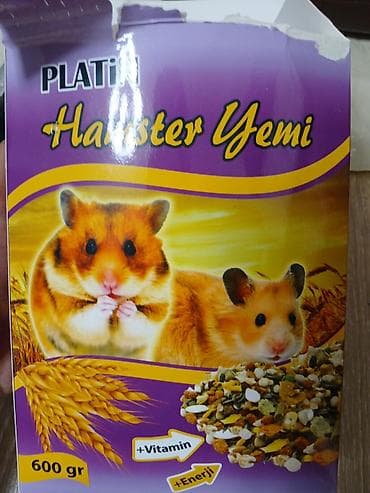 iri buynuzlu mal: 1ay yarımlıq xomyakdı (mini) yeni almışam pul lazımdı deyə satıram — 3