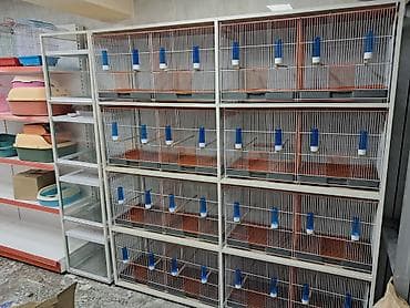 Moyka avadanlığı: 225 * 115 * 50, Ağ, İşlənmiş, Ünvandan götürmə — 3