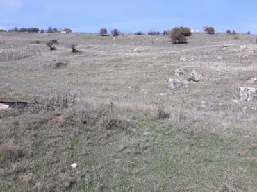 baku electronics xacmaz: 12 sot, Tikinti, Mülkiyyətçi, Kupça (Çıxarış) — 2