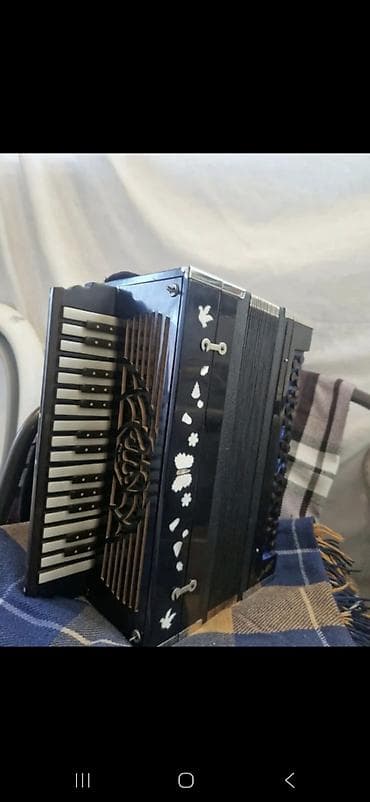 akkordeon: Akustik Akkordeon — 2