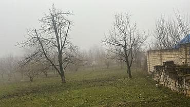 şəkidə torpaq satılır: 15 sot, Tikinti, Mülkiyyətçi, Kupça (Çıxarış) — 4