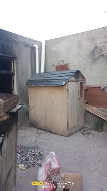 goyercin damı: Taxta quşxana/kümes - Material: kontrplak/taxta gövdə, metal örtüklü — 2