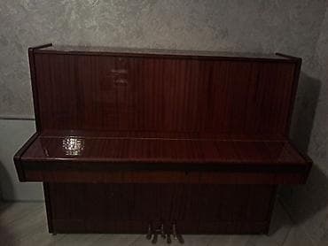 Piano, Belarus, Akustik, İşlənmiş, Ünvandan götürmə — 6