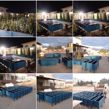 gül dibçəkləri: Dibçək güldanlar.Yaz endirimi Dipçəklər bir başa sexdən.Sex qiymətinə — 2