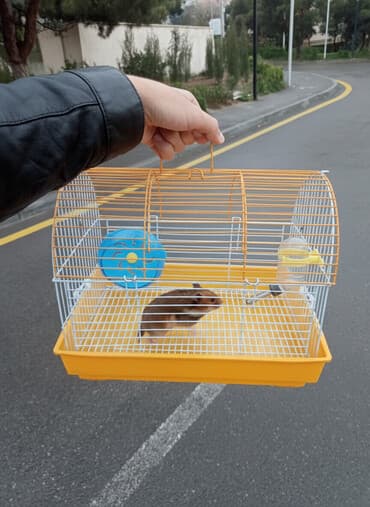 xamyak evi: Xırda gəmiricilər üçün qəfəs - Ölçü: orta həcmli, daşınması rahat — 2