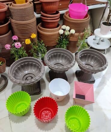 Digər bitkilər: Dibçək. Müxtəlif ölçü və modellər mövcuddur. Fərqli qiymətlərdədir — 16