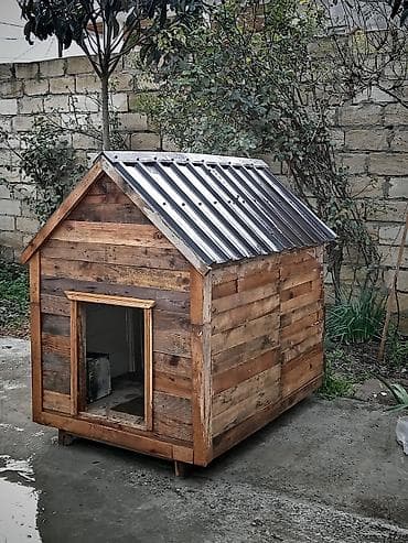 balaca tuklu itler: Taxta it evi – fərqli ölçü və modellər Məhsul təsviri:sifarislə hər — 2