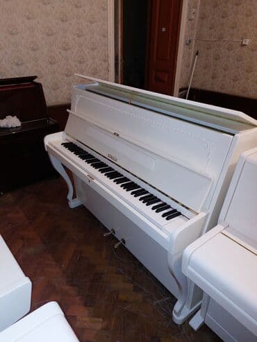 rönisch: Pianino RÖNİSCH Almaniya istehsalı. İdeal vəziyyədə. Cadrılma və — 2