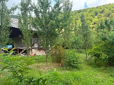 şeki: 37 sot, Biznes üçün, Mülkiyyətçi, Müqavilə — 10