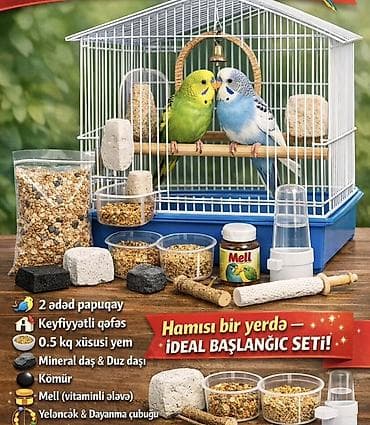 K/t heyvanları və malları: “Hamısı bir yerdə – İdeal Başlanğıc Seti” dalğıc papağanlar üçün tam — 1