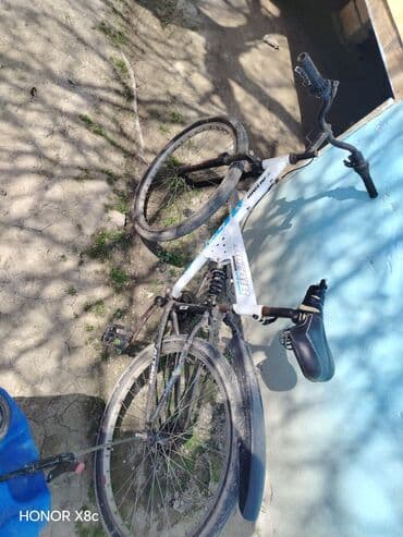 Şəhər velosipedi 26"