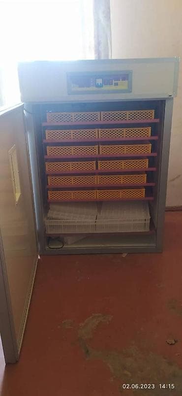 1100 yumurta, Tam avtomat, Bütün növ quşlaq üçün, Fabrik istehsalı