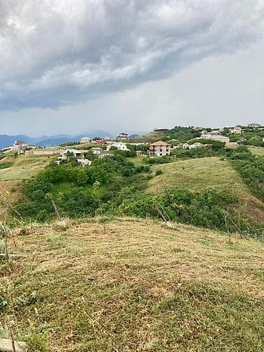 hamarmeşə kəndi: 12 sot, Tikinti, Mülkiyyətçi, Kupça (Çıxarış) — 3