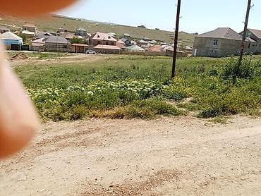 8 sot, Tikinti, Kupça (Çıxarış) lalafo.az -da 8 sot, Tikinti, Kupça (Çıxarış)