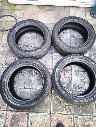disqi 17: Şin Michelin 225 / 55 / R 17 — 1