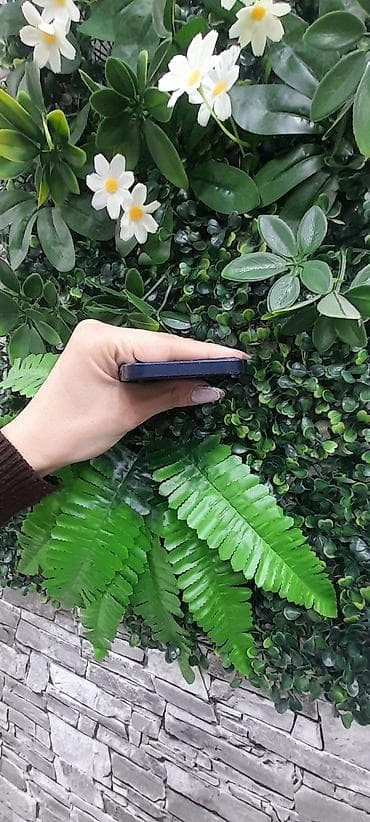 Фото и видеокамеры: IPhone 12 mini, 64 ГБ, Черный, Face ID — 5