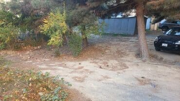 elite: 4 sot, Tikinti, Mülkiyyətçi, Bələdiyyə — 2