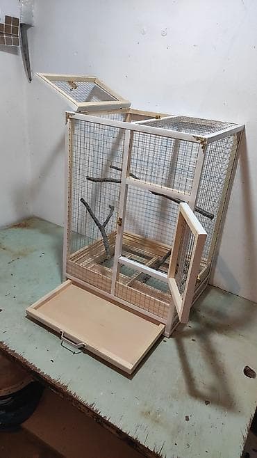 hamster qiyməti: Papuqay,dovşan,hamster,şinşila,bildirçin,cücə,xamyak,pişik,quş,tısbağa — 3