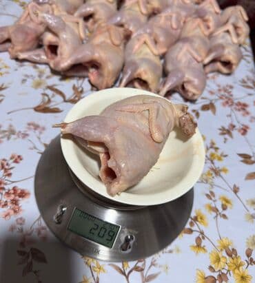 seki halvasi: Qiymet 2 azn,2.30 ve 2.50.Qrama gore deyisir.Məhsul: Təmizlənmiş və — 5