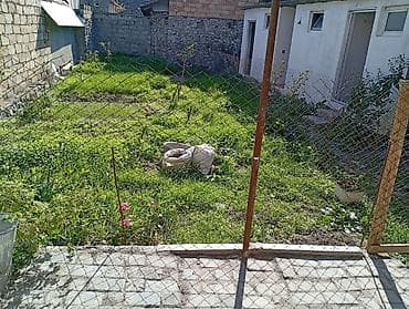 masalli ev: 3 otaqlı, 59 kv. m — 3