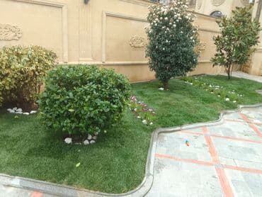 ищу работу садовник на дачу: Salam bağ evlərində, Abyektlərdə parklarda bağban xidməti görülür — 1