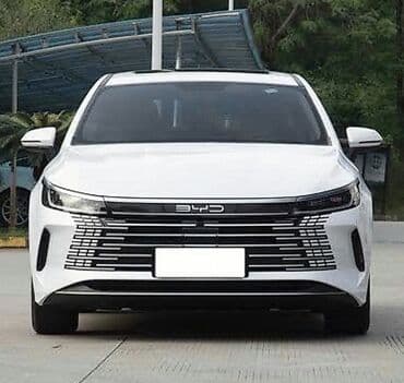 BYD Destroyer 05: 1.5 l | 2024 il Sedan