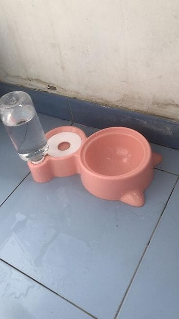 it qovan cihaz: Rus mavi, Yaxşı əllərə — 5